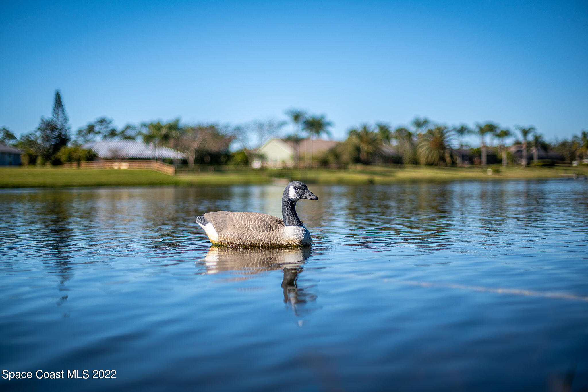 1566 Eagles Circle Sebastian, FL 32958 - Photo 53 of 59 JCP_2118-HDR