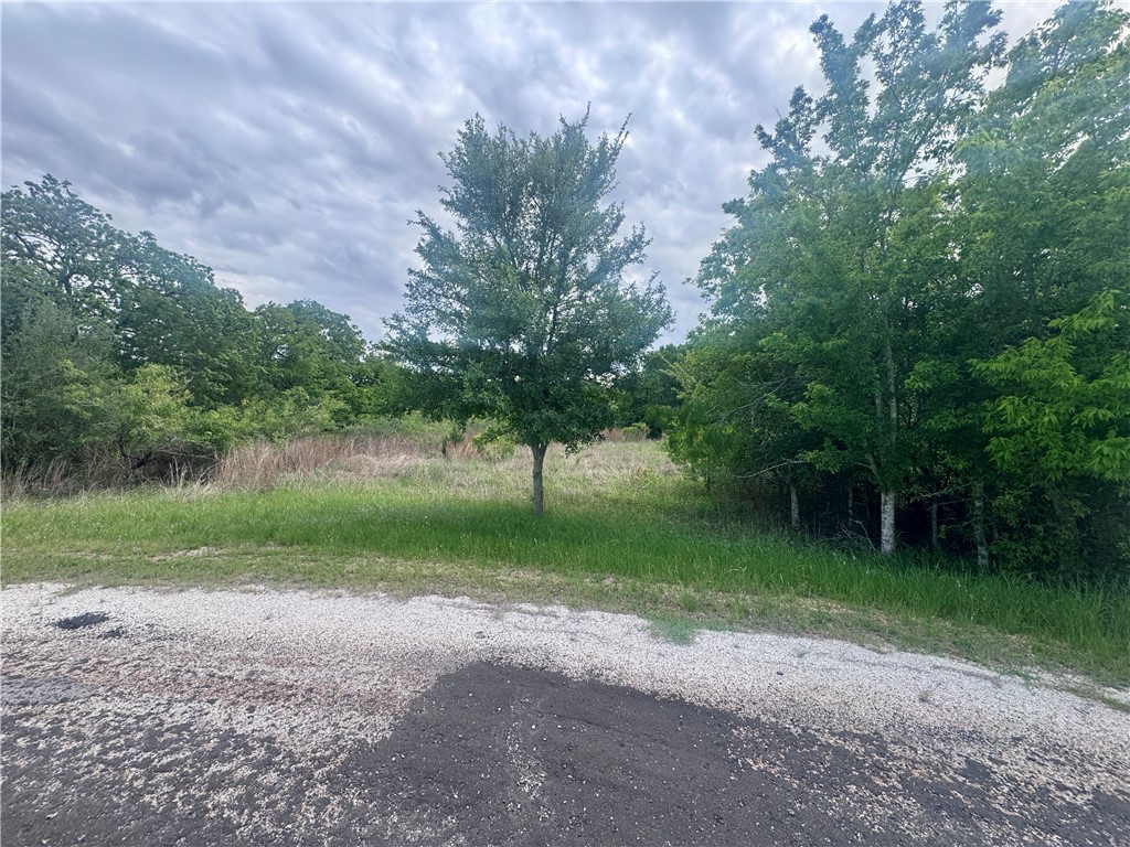 1708 James Craft Road Somerville, TX 77879 - Photo 2 of 7 a view of a park
