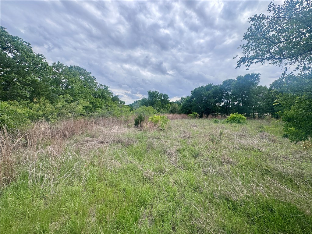 1708 James Craft Road Somerville, TX 77879 - Photo 3 of 7 a view of a yard with plants and a bench