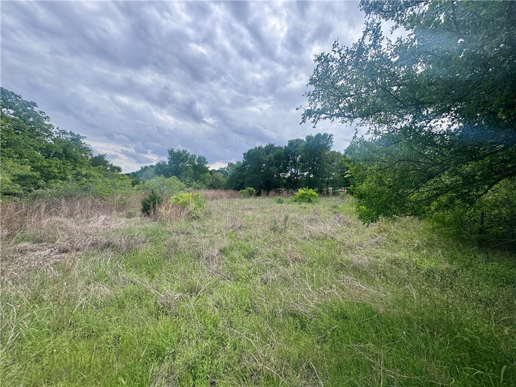 1708 James Craft Road Somerville, TX 77879 - Photo 4 of 7 a view of a green field with lots of bushes