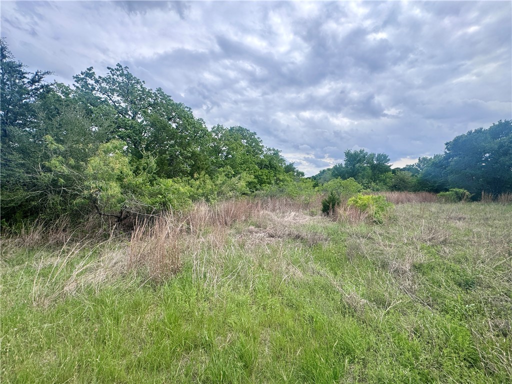 1708 James Craft Road Somerville, TX 77879 - Photo 5 of 7 a view of a lake with green space