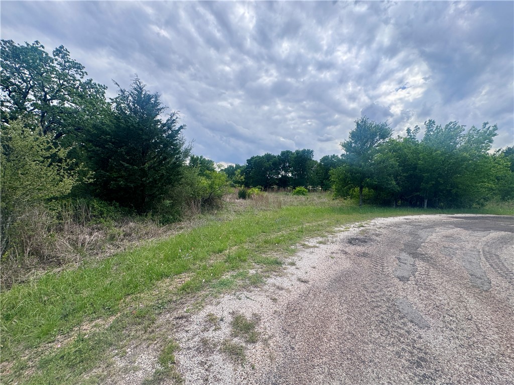 1708 James Craft Road Somerville, TX 77879 - Photo 6 of 7 a view of outdoor space with green field and trees all around