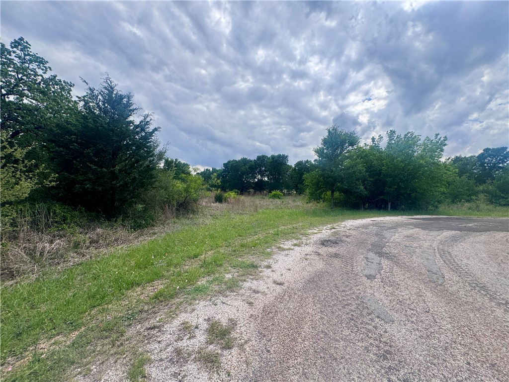 1708 James Craft Road Somerville, TX 77879 - Photo 7 of 7 a view of a grassy field with trees in the background