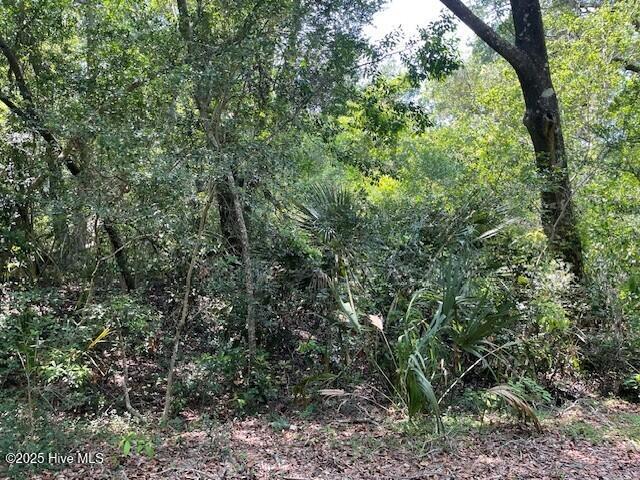 .34 acre lot beautifully wooded with oaks and palms.