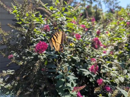 $474,900 | 1638 Academy Street, Charlotte, NC 28205