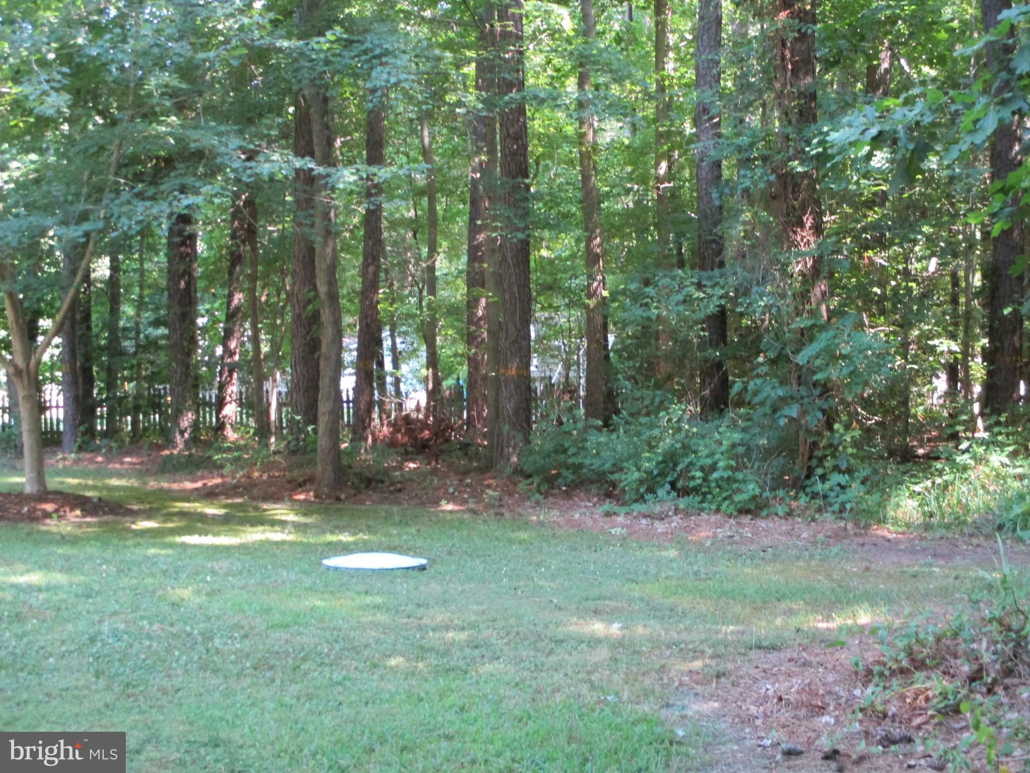 17920 Piney Point Road Tall Timbers, MD 20690 - Photo 14 of 16