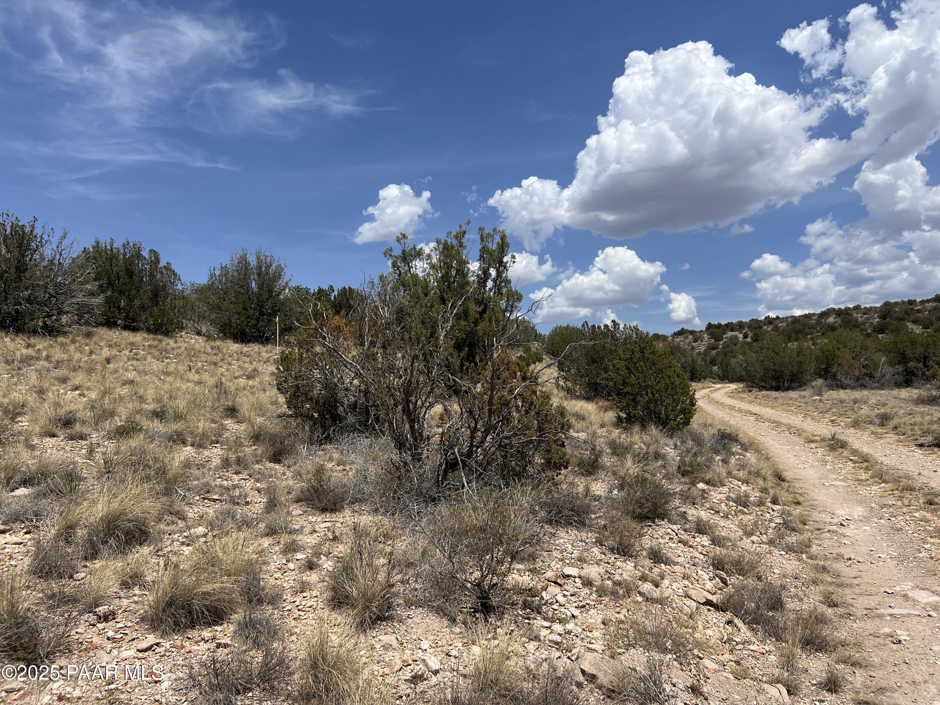 Tbd East Prescott Ranch Road Paulden, AZ 86334 - Photo 11 of 19 IMG_8116