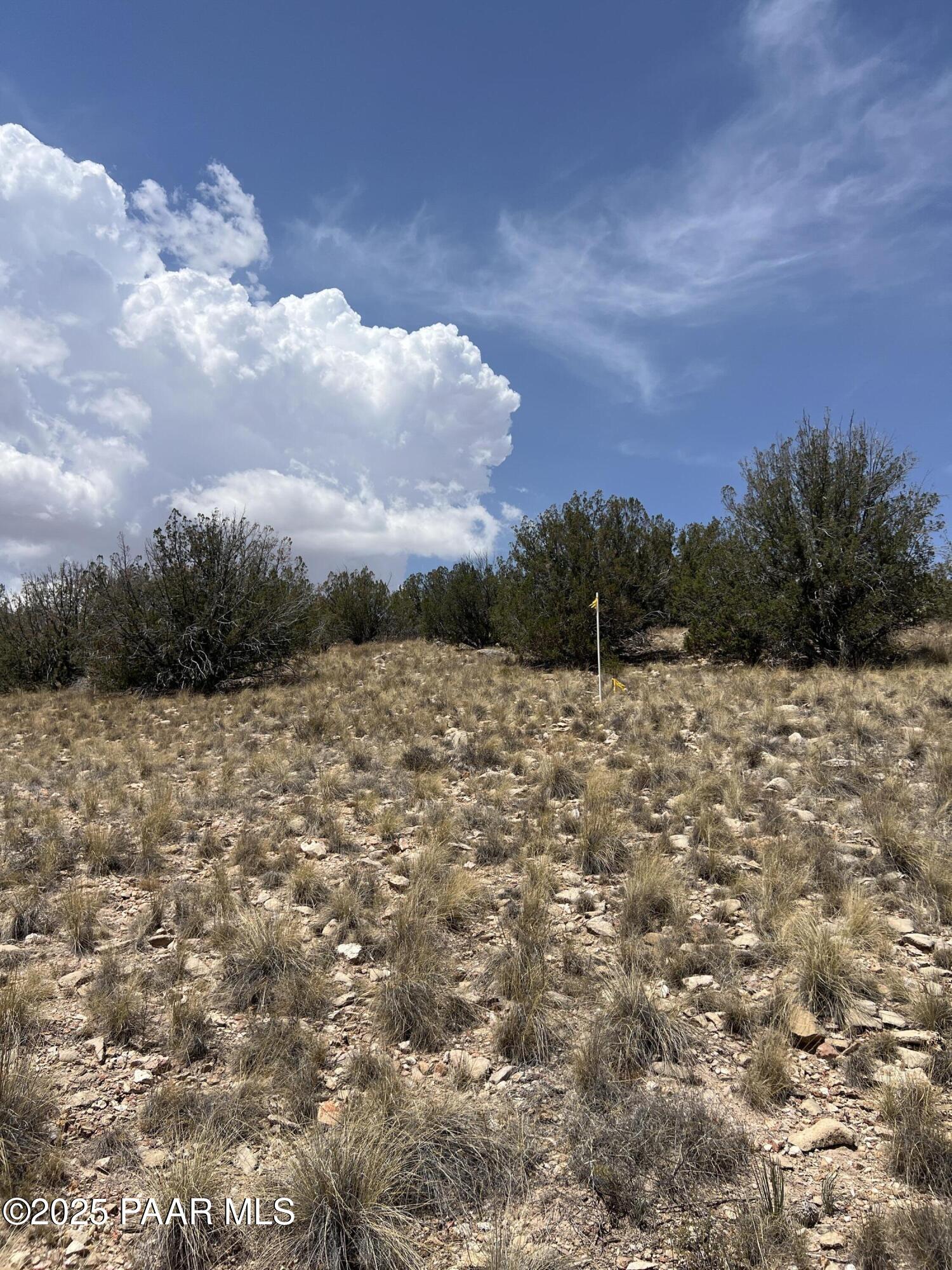 Tbd East Prescott Ranch Road Paulden, AZ 86334 - Photo 12 of 19 IMG_8117