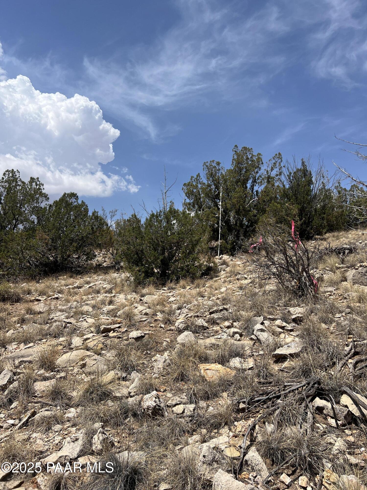 Tbd East Prescott Ranch Road Paulden, AZ 86334 - Photo 13 of 19 IMG_8118