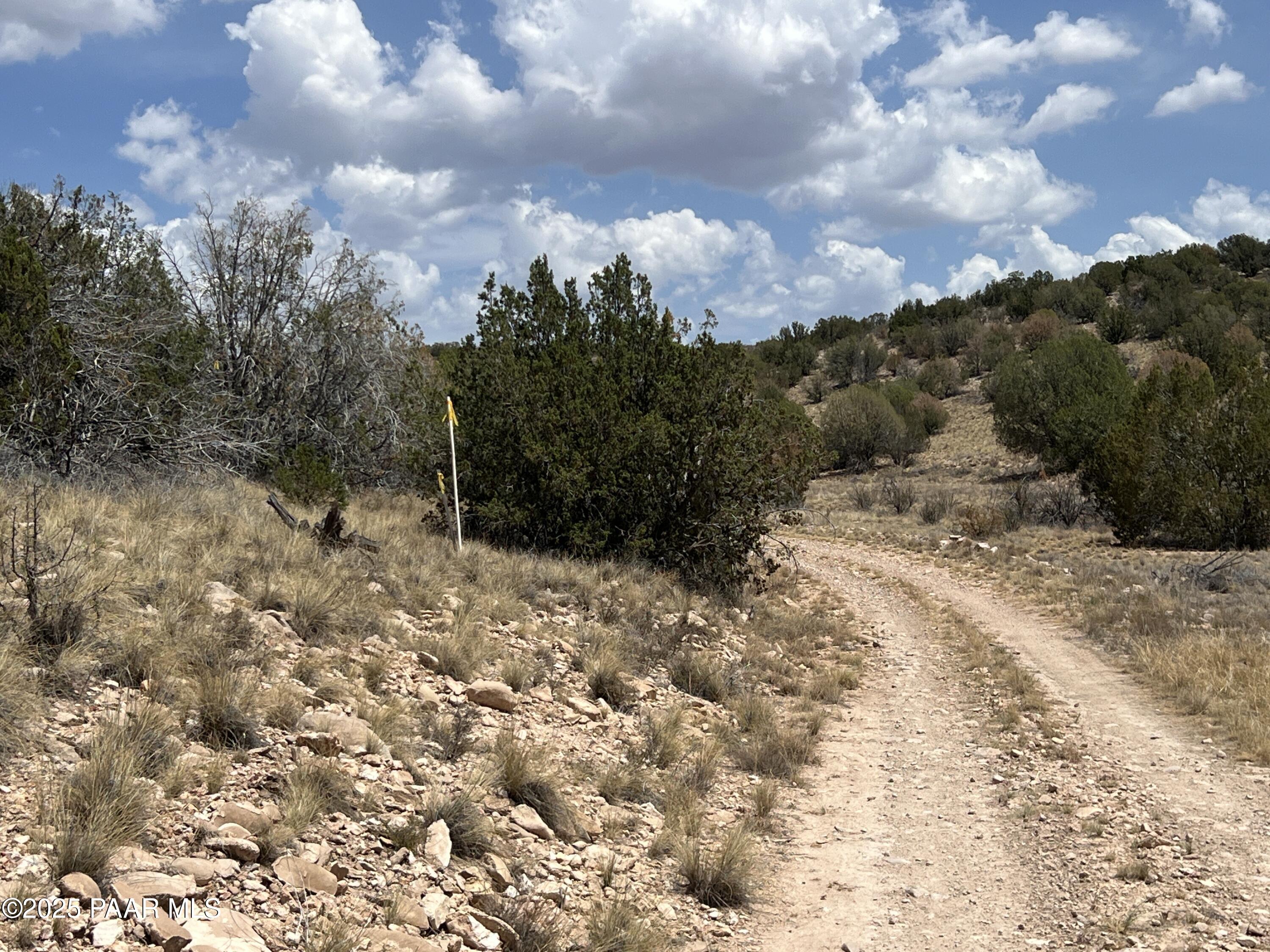 Tbd East Prescott Ranch Road Paulden, AZ 86334 - Photo 9 of 19 IMG_8114