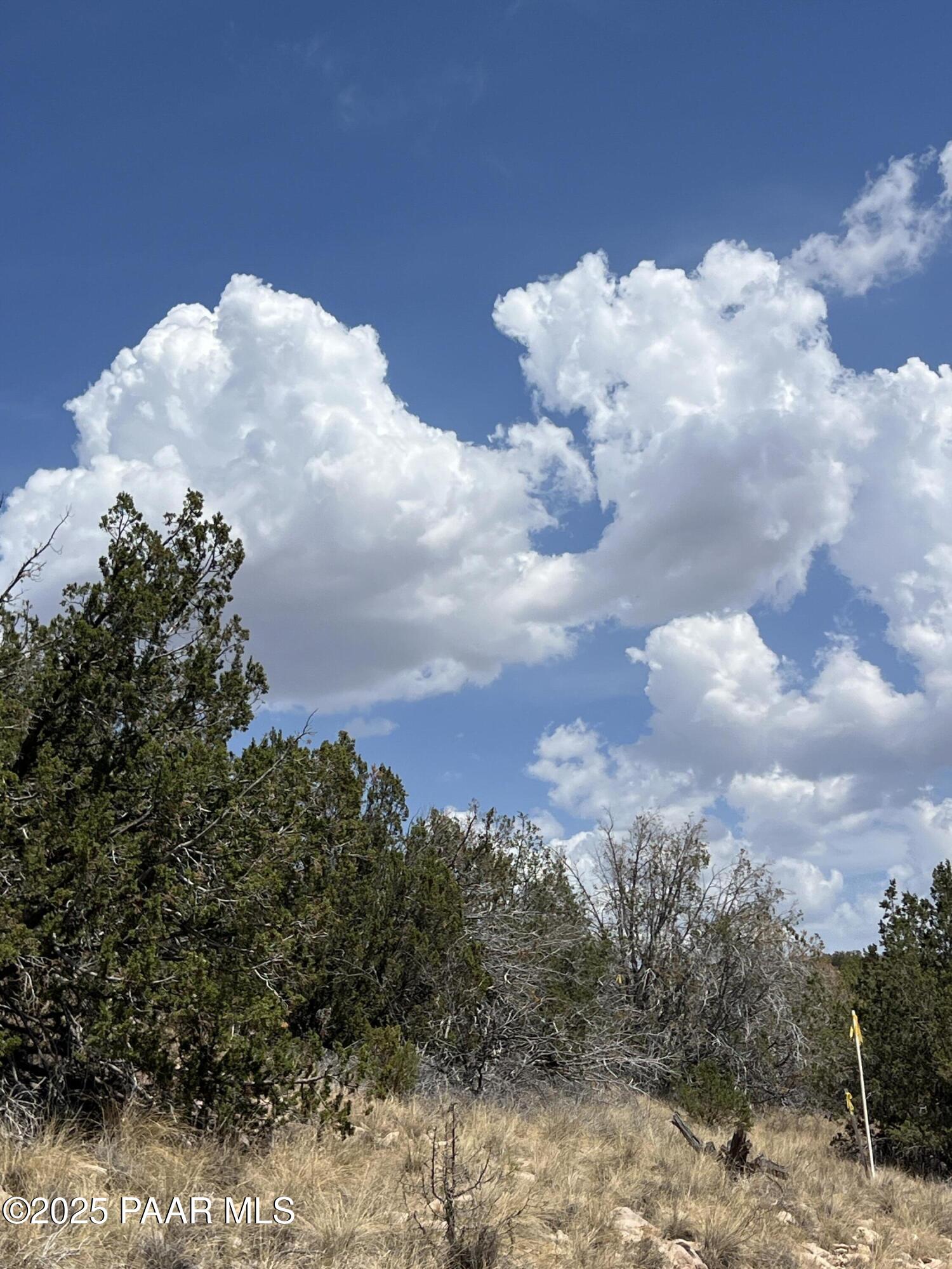 Tbd East Prescott Ranch Road Paulden, AZ 86334 - Photo 10 of 19 IMG_8115