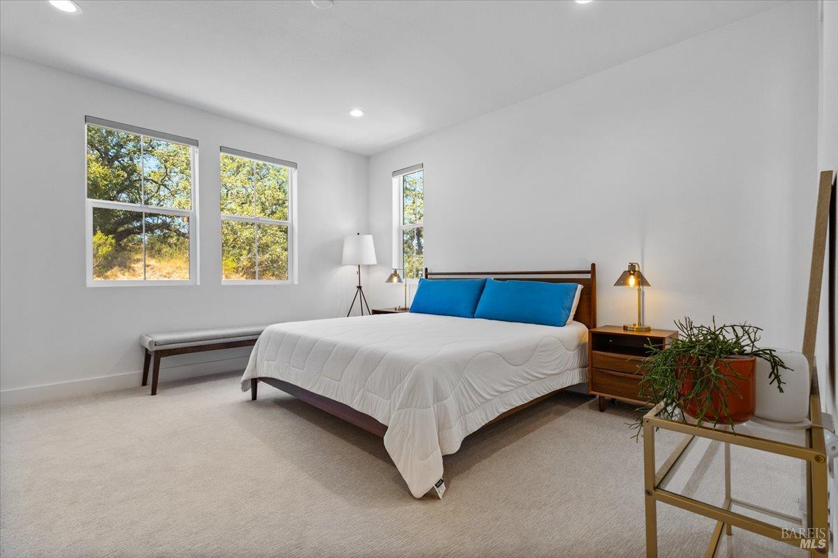 649 Semillon Lane Santa Rosa, CA 95403 - Photo 19 of 38 Spacious primary suite offering comfort, privacy, and a peaceful hillside outlook.