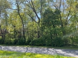Vl Meadows Road Madison, OH 44057 - Photo 2 of 3 Gallery Image 2