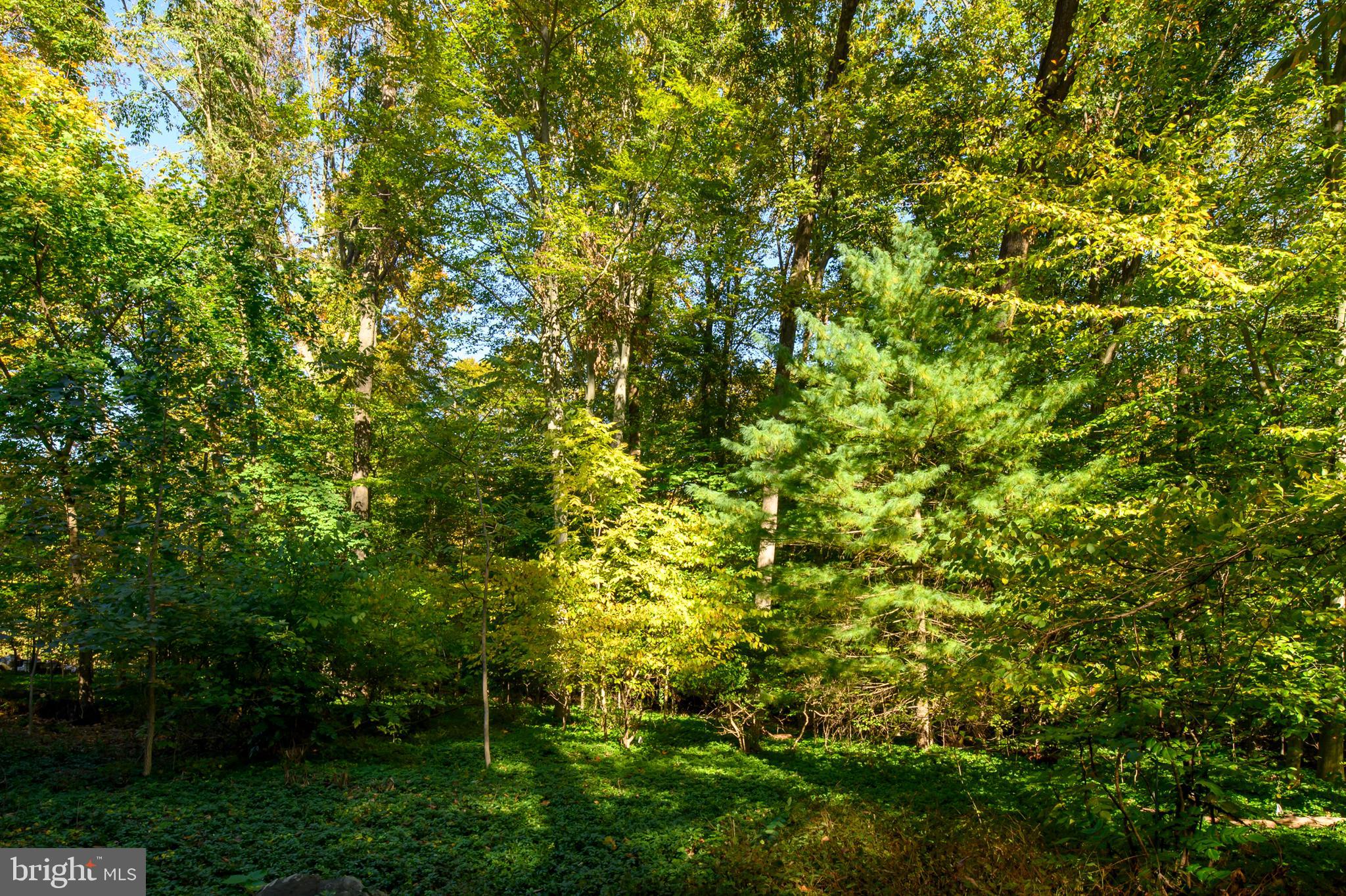 2218 Queensbury Drive Fallston, MD 21047 - Photo 38 of 49 Backyard
