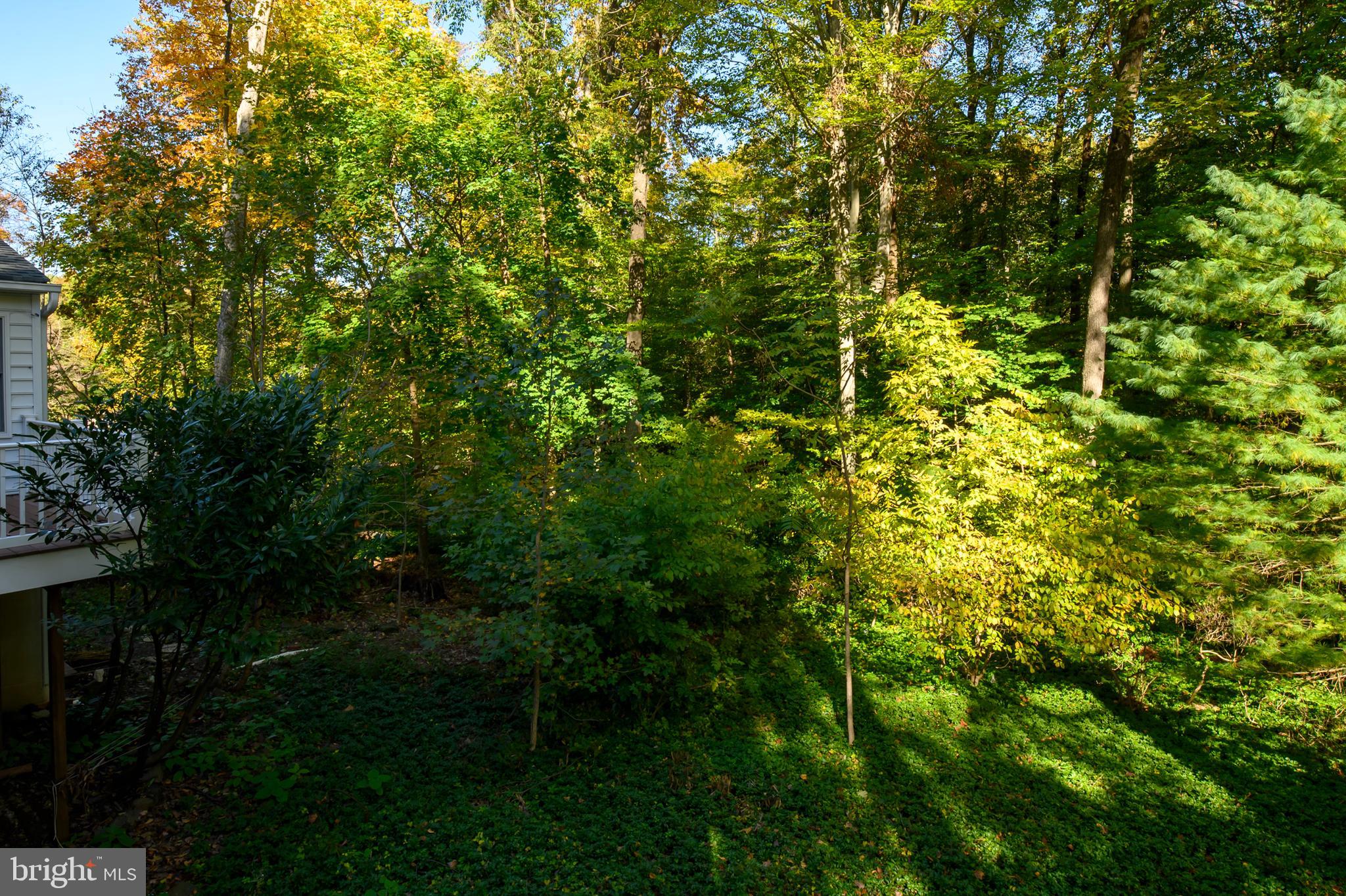 2218 Queensbury Drive Fallston, MD 21047 - Photo 44 of 49 Deck View