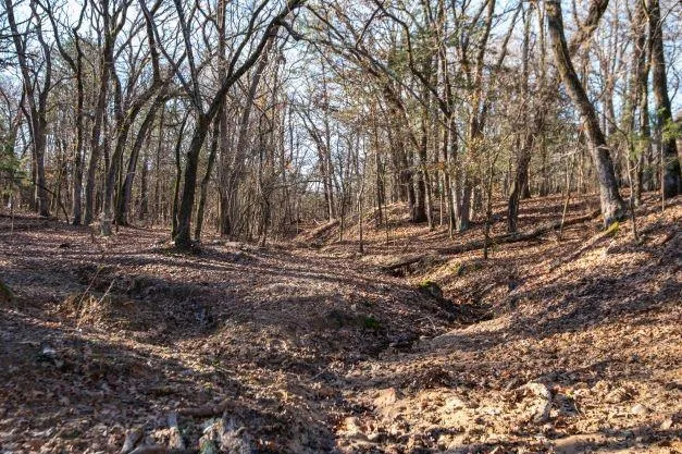 a view of outdoor space with trees