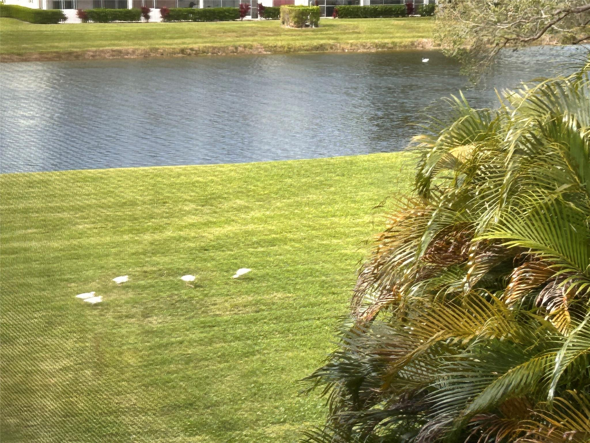 210 Fanshaw East, Unit 210 Boca Raton, FL 33434 - Photo 45 of 62 Photo 45