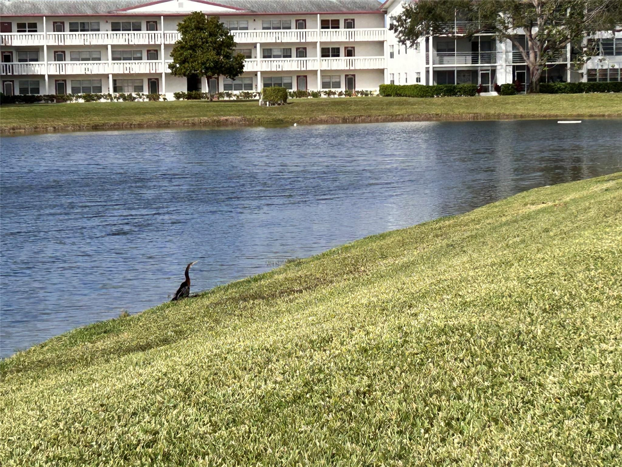 210 Fanshaw East, Unit 210 Boca Raton, FL 33434 - Photo 48 of 62 Photo 48