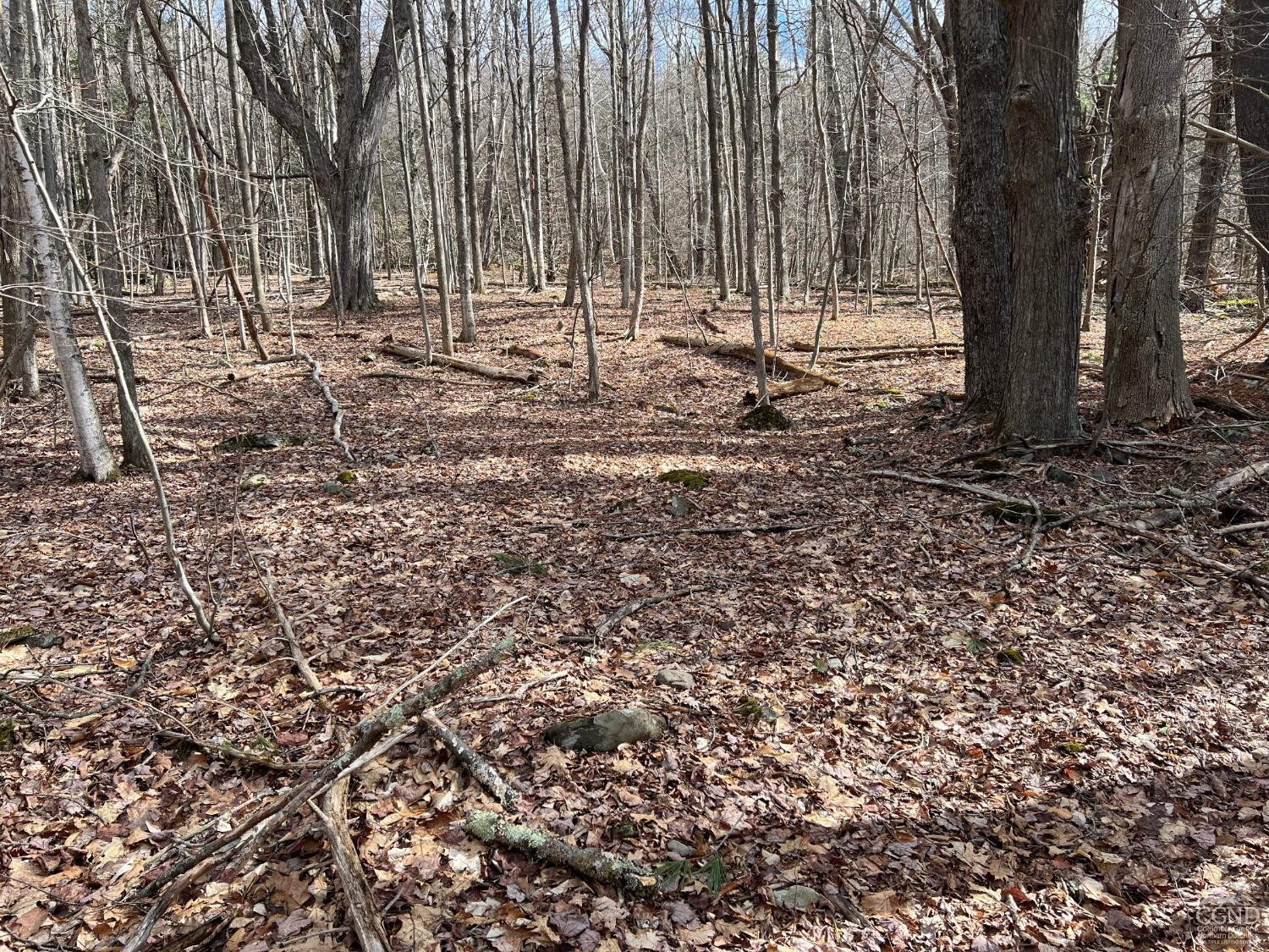0 Route 23a Road Prattsville, NY 12468 - Photo 8 of 18 Photo 7
