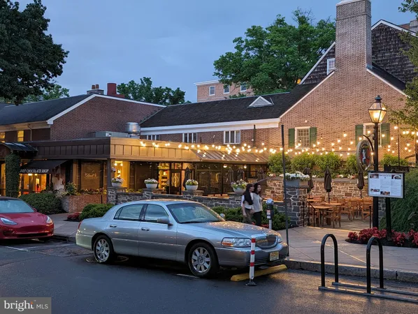 a living room filled with furniture and a potted plant