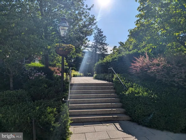 a view of a yard with plants and trees
