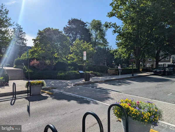 a view of a bench and bench in a yard