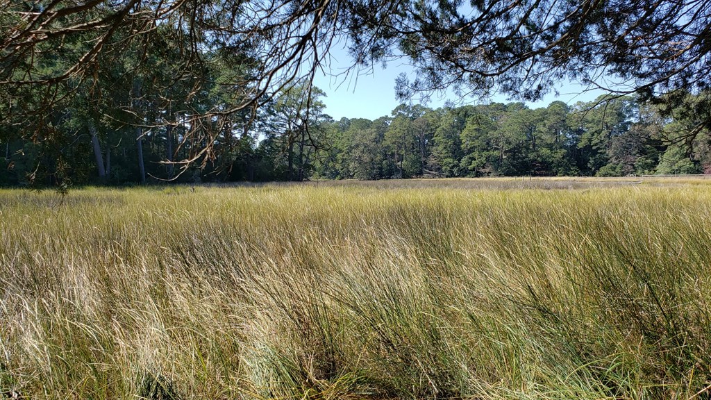 Lot 8 Wellington Neck Road, Unit 8 Franktown, VA 23354 - Photo 7 of 9