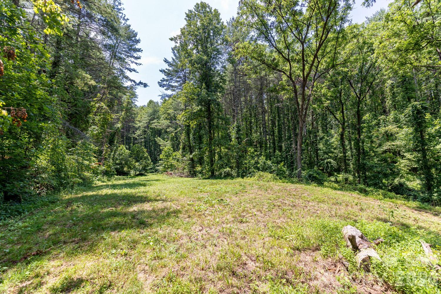 160 McLean Road Weaverville, NC 28787 - Photo 7 of 25