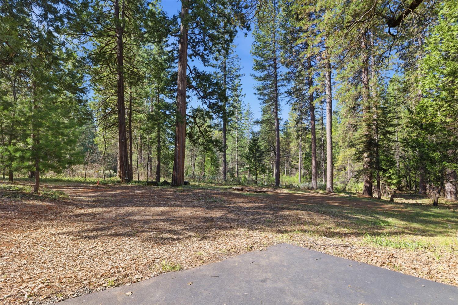 2428 Rancho Paradiso Arnold, CA 95223 - Photo 58 of 67 a view of a yard with large trees