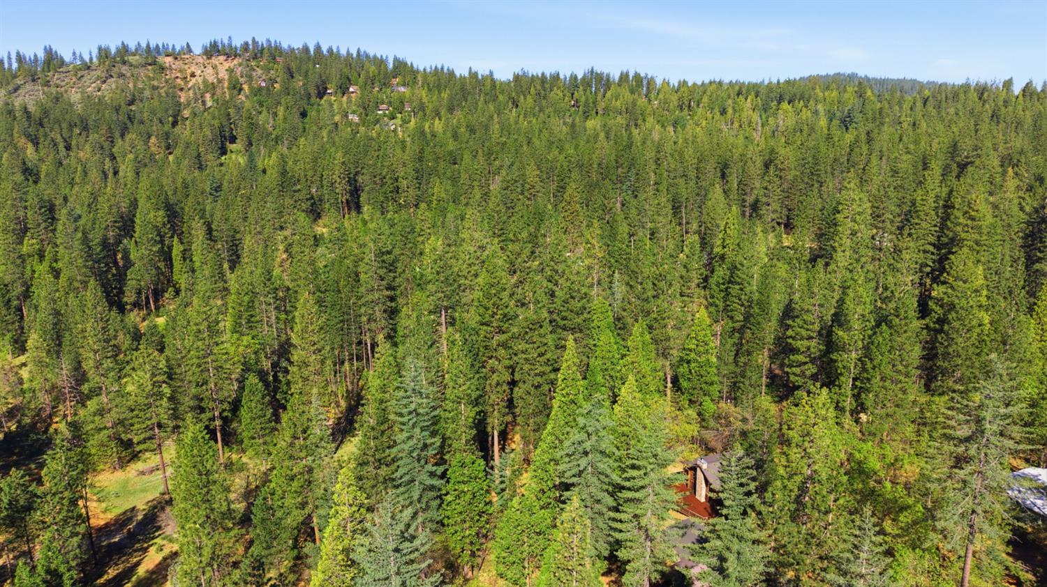 2428 Rancho Paradiso Arnold, CA 95223 - Photo 64 of 67 a view of a lush green forest with a lake