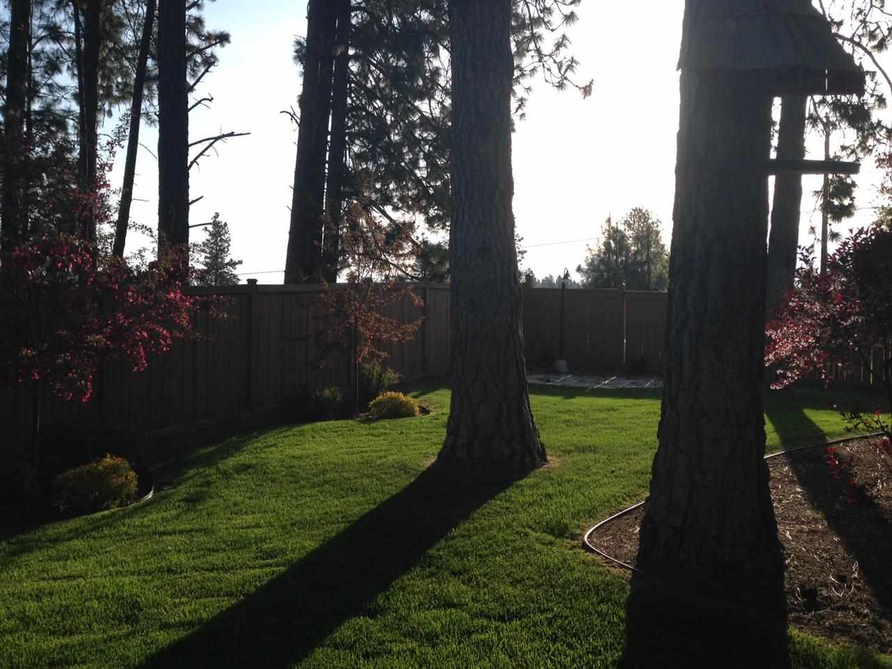 527 East Midway Road Colbert, WA 99005 - Photo 20 of 20