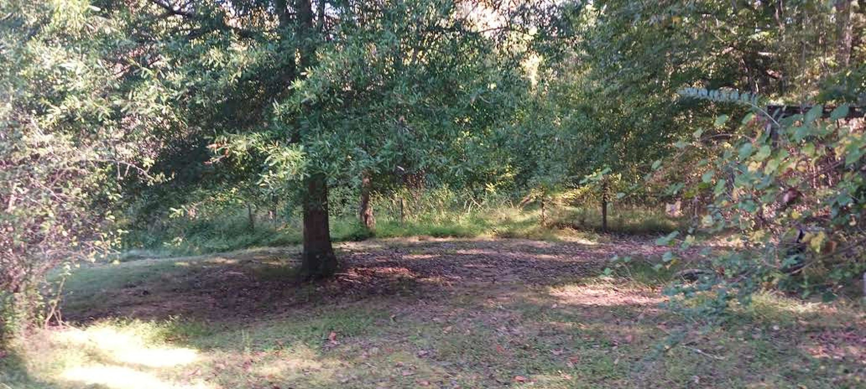 9201 Allison Road Cedar Grove, NC 27231 - Photo 8 of 16 Photo 9
