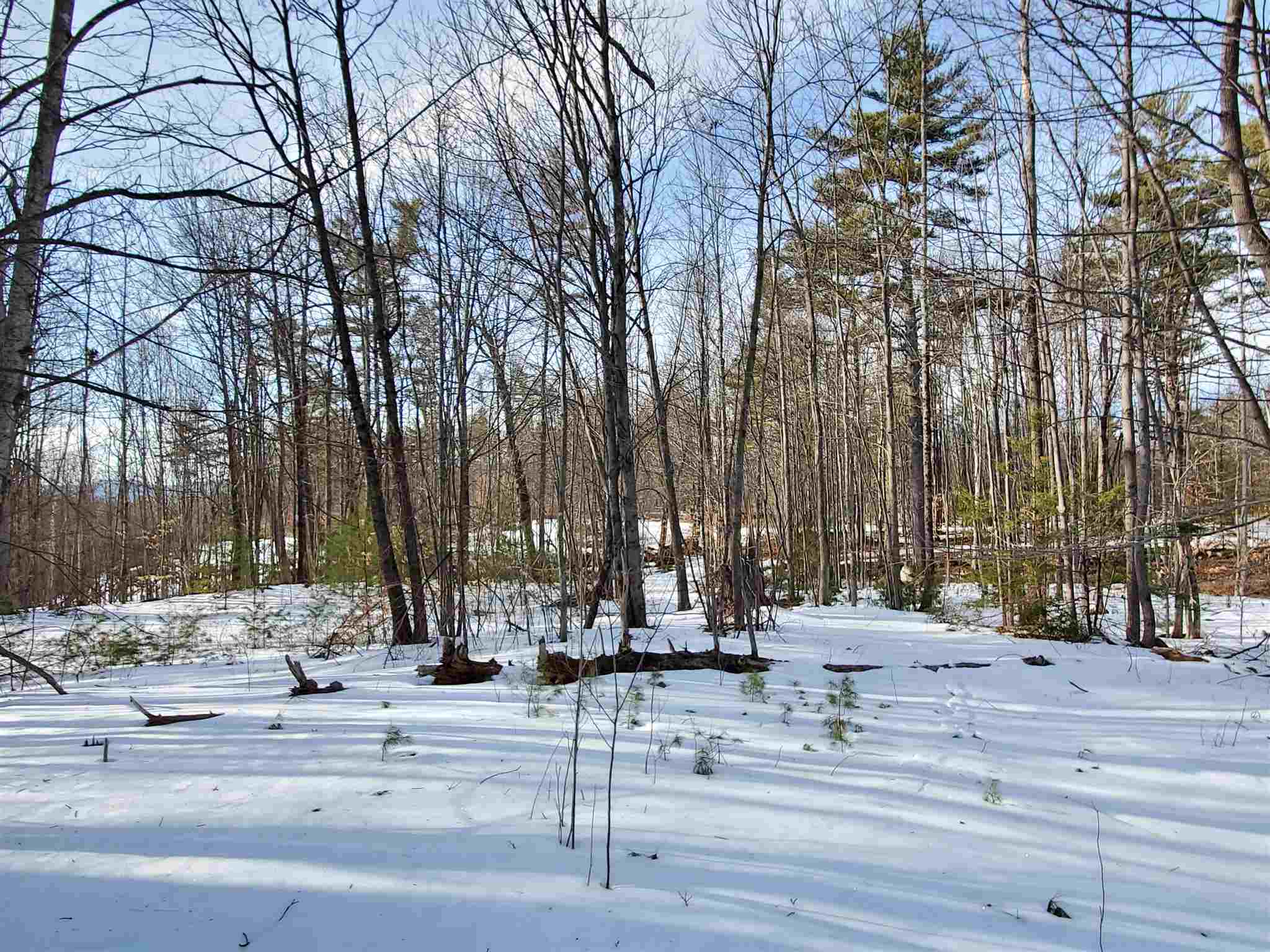 209-2 Center Harbor Neck Road Center Harbor, NH 03226 - Photo 14 of 40 Gallery Image 14