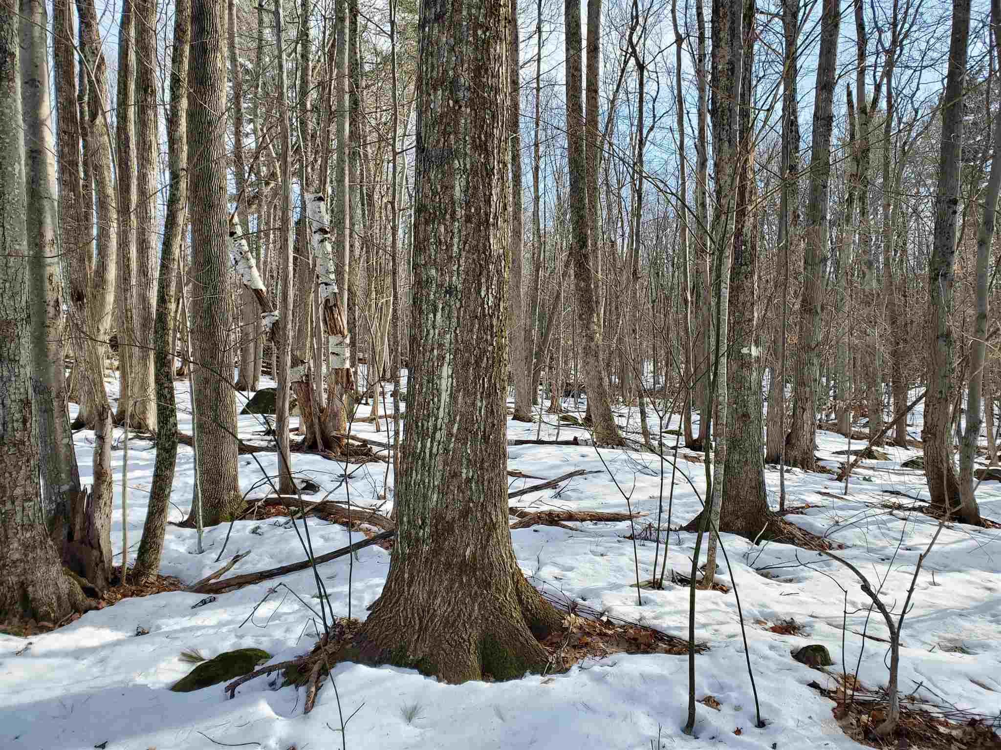 209-2 Center Harbor Neck Road Center Harbor, NH 03226 - Photo 15 of 40 Gallery Image 15