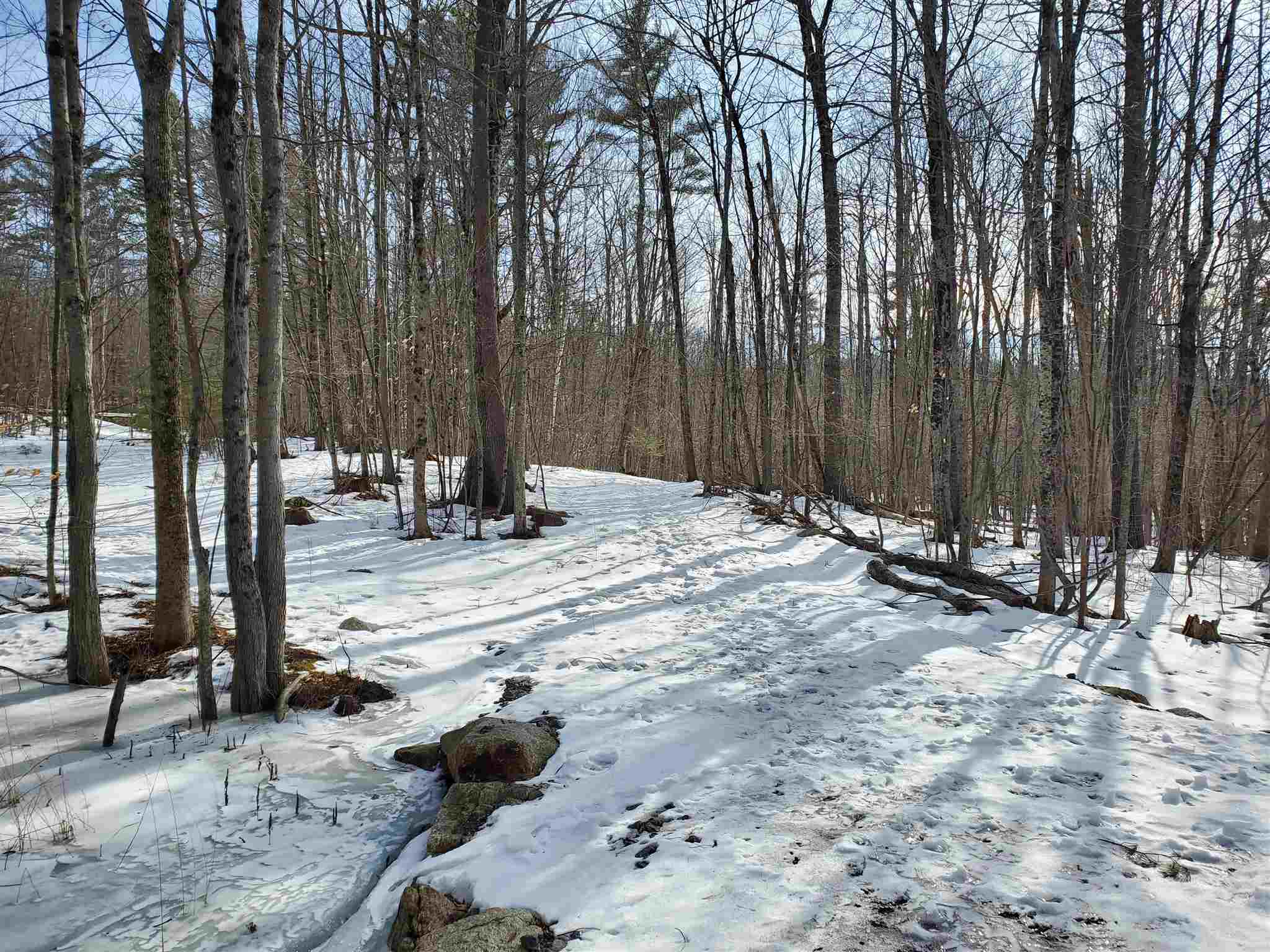 209-2 Center Harbor Neck Road Center Harbor, NH 03226 - Photo 4 of 40 Gallery Image 4