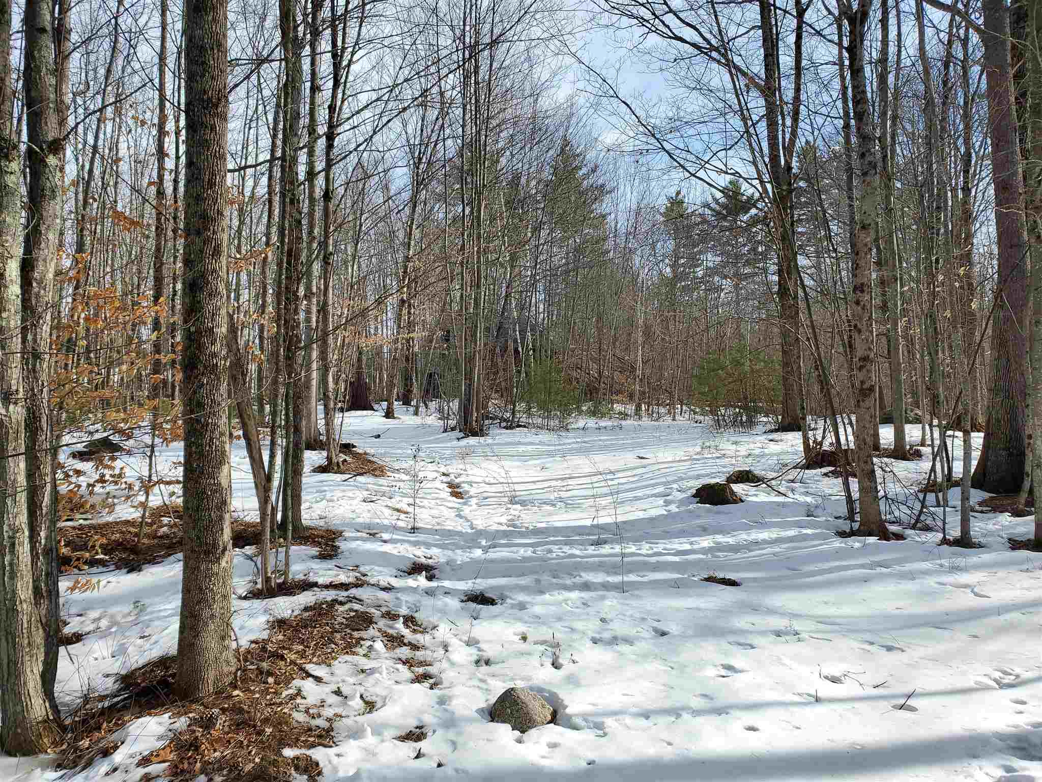 209-2 Center Harbor Neck Road Center Harbor, NH 03226 - Photo 5 of 40 Gallery Image 5