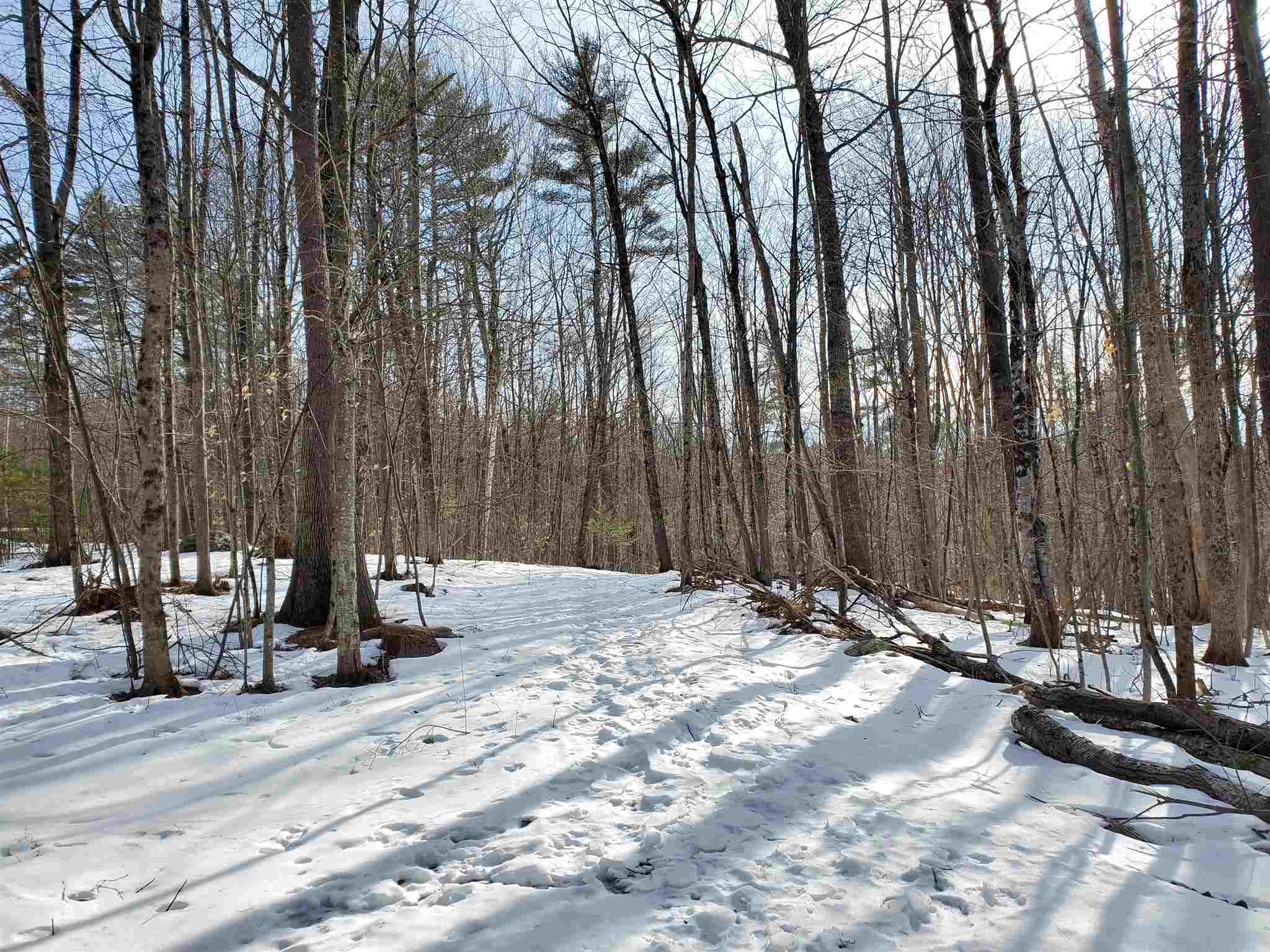 209-2 Center Harbor Neck Road Center Harbor, NH 03226 - Photo 6 of 40 Gallery Image 6