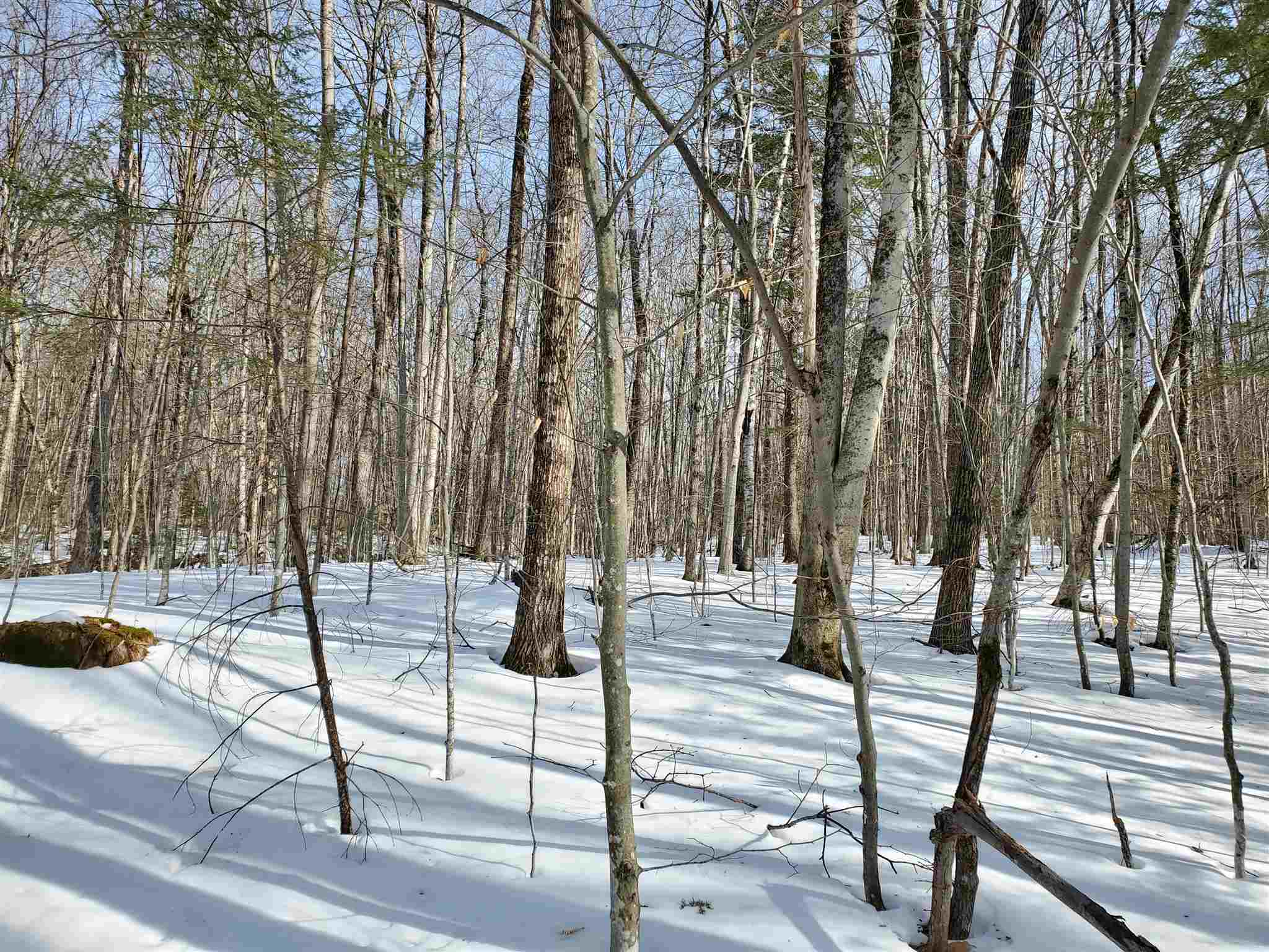 209-2 Center Harbor Neck Road Center Harbor, NH 03226 - Photo 7 of 40 Gallery Image 7