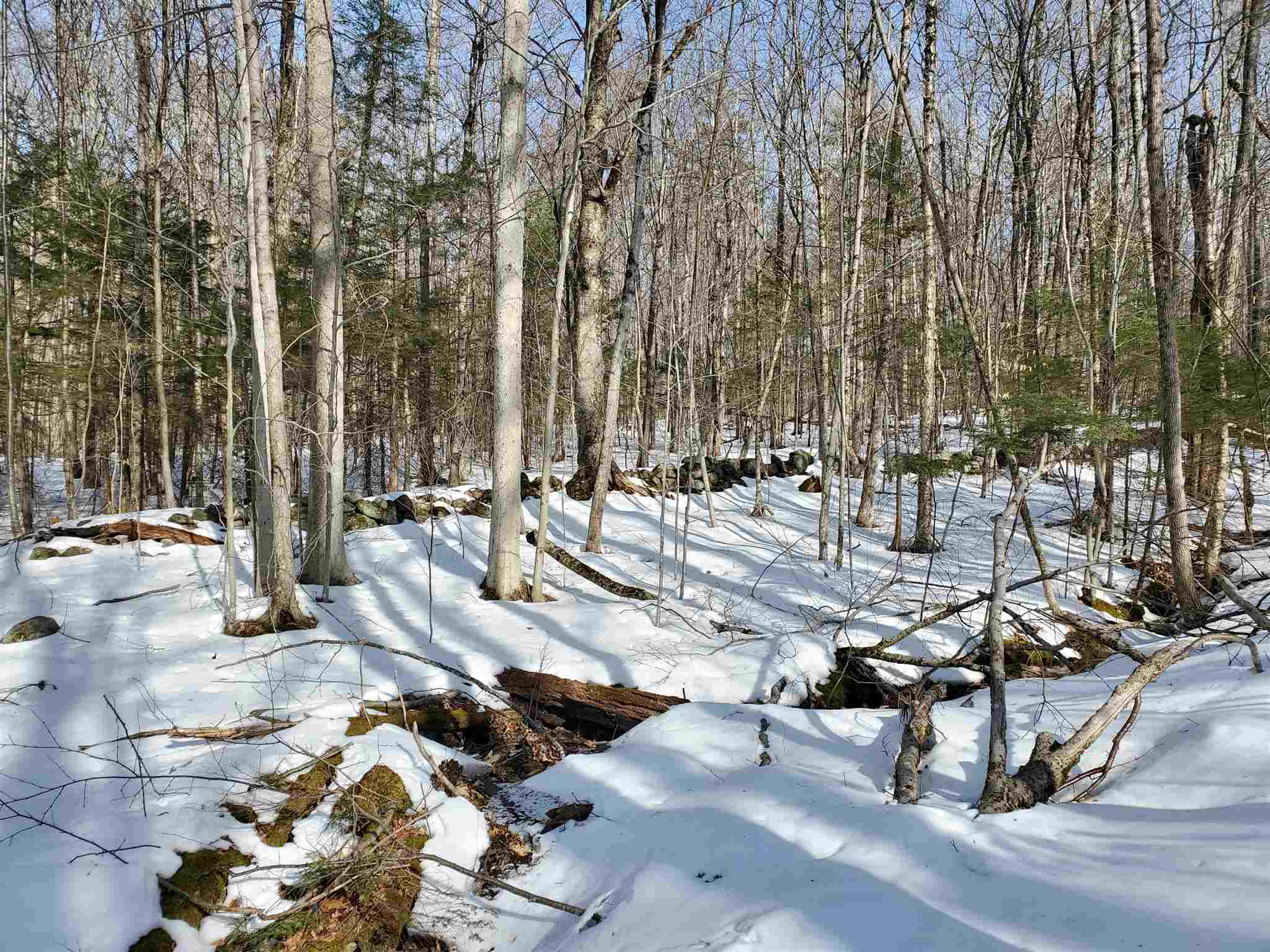 209-2 Center Harbor Neck Road Center Harbor, NH 03226 - Photo 8 of 40 Gallery Image 8