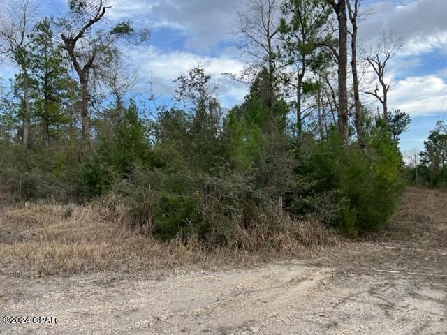 11630 County Line Road Fountain, FL 32438 - Photo 3 of 6