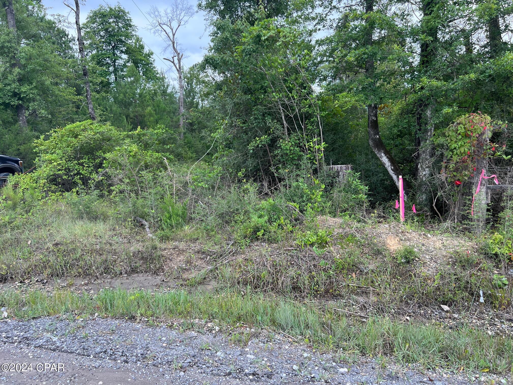 11630 County Line Road Fountain, FL 32438 - Photo 4 of 6