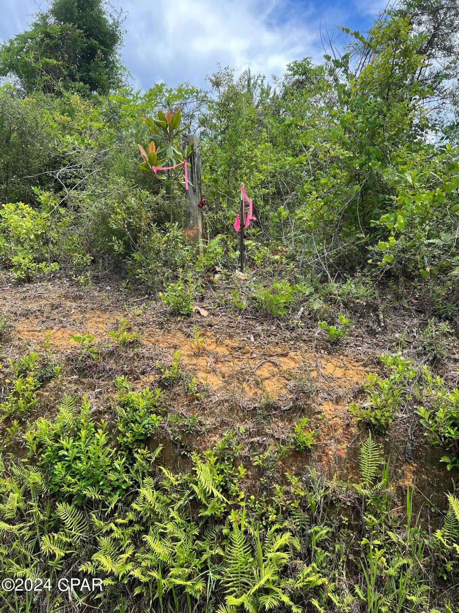 11630 County Line Road Fountain, FL 32438 - Photo 5 of 6