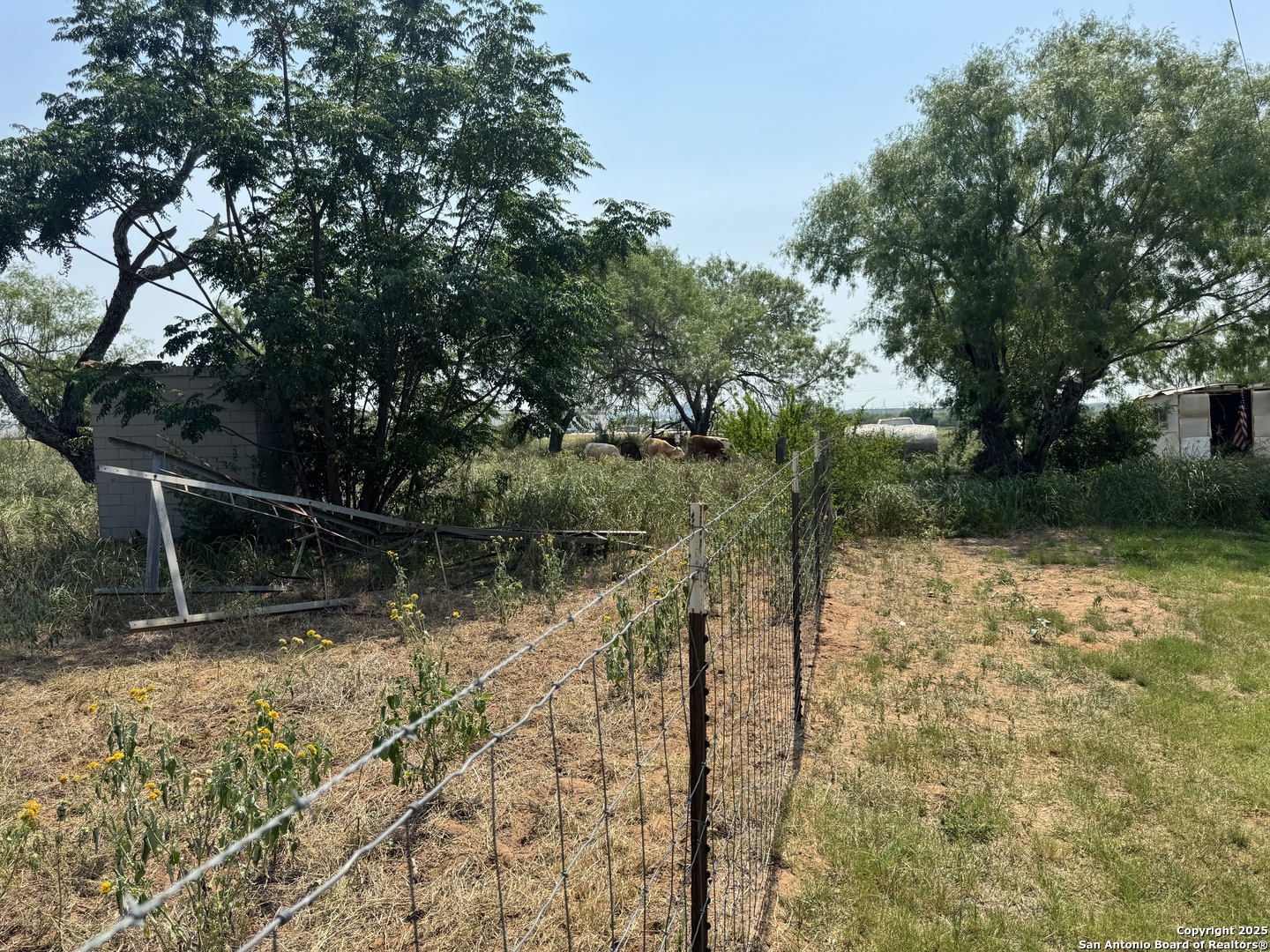 7084 Richter Road Elmendorf, TX 78112 - Photo 50 of 59