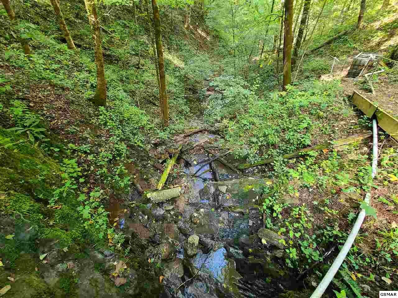 0 Jones Cove Road Cosby, TN 37722 - Photo 10 of 14 Gallery Image 10