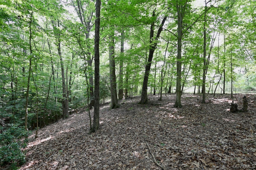 1026 Barricks Mill Road Wake, VA 23176 - Photo 20 of 22 Gallery Image 20