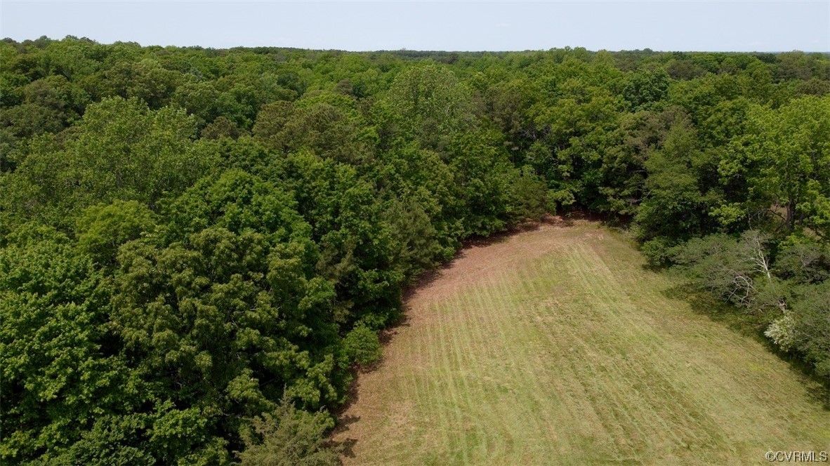 1026 Barricks Mill Road Wake, VA 23176 - Photo 2 of 22 Gallery Image 2