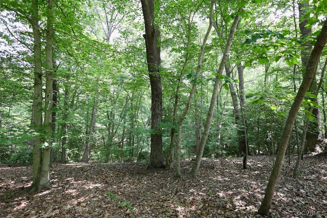 1026 Barricks Mill Road Wake, VA 23176 - Photo 4 of 22 Gallery Image 4