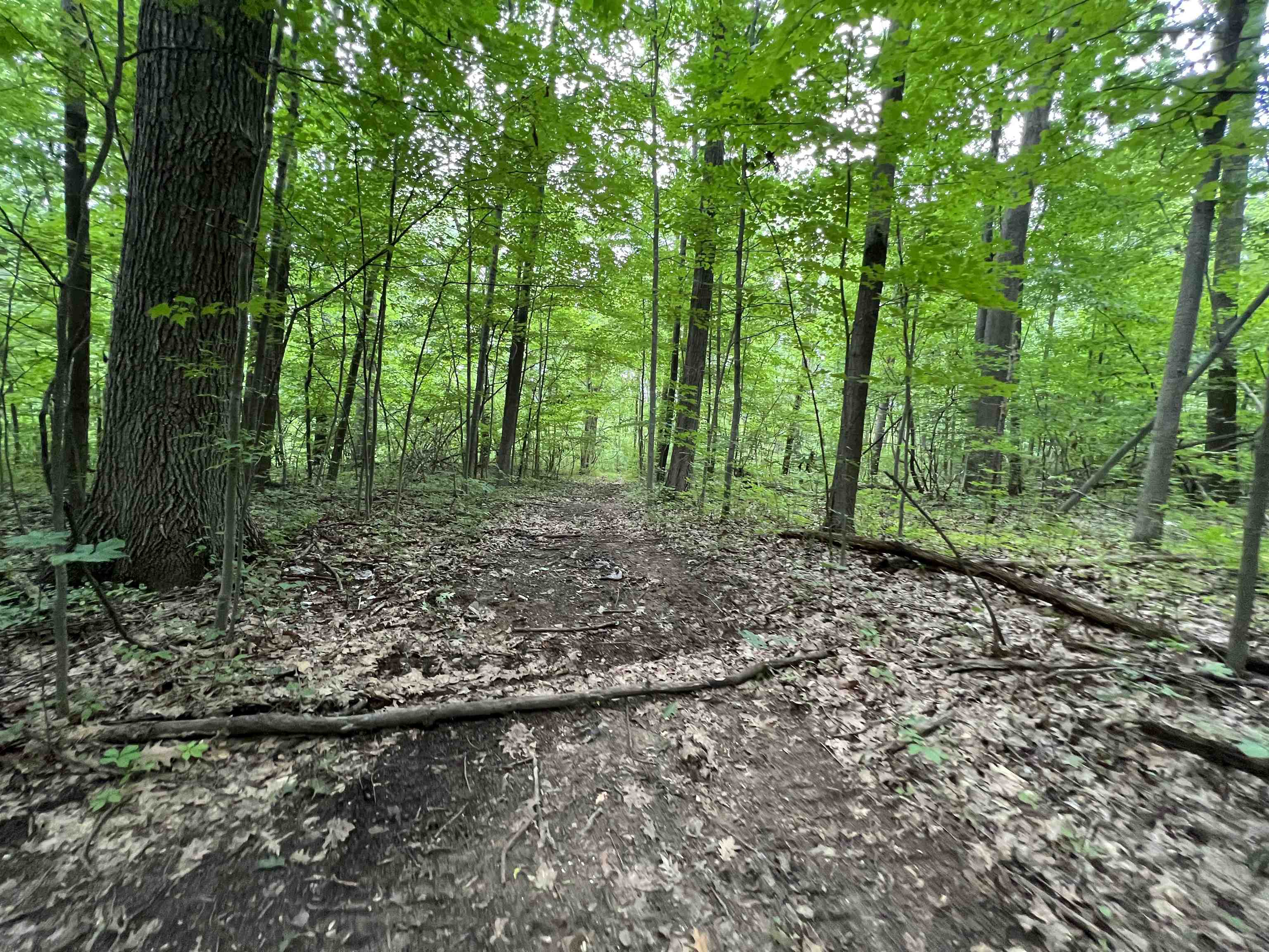 12159 North Jennings Road Clio, MI 48420 - Photo 20 of 26 Gallery Image 20