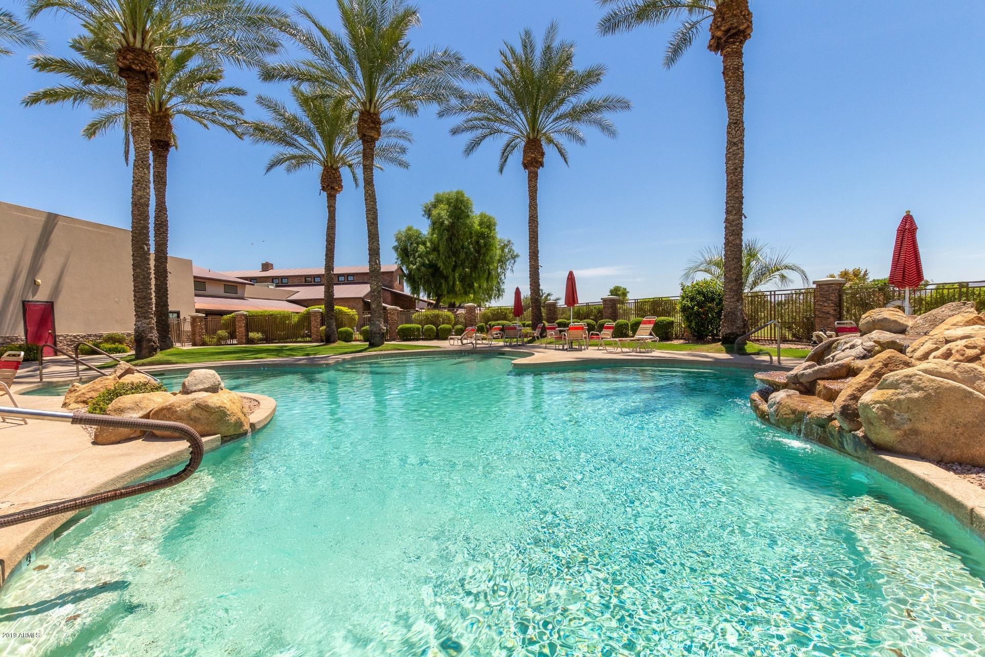 4610 East Walnut Road Gilbert, AZ 85298 - Photo 39 of 49 0052-Mandarin (52)