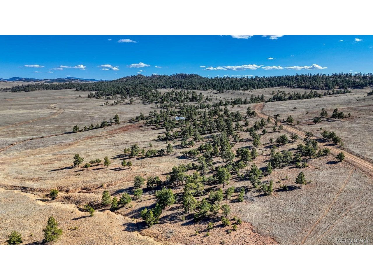 5103 Anasazi Road Hartsel, CO 80449 - Photo 17 of 21 a view of outdoor space and mountain view